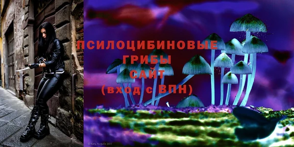 первитин Верхний Тагил