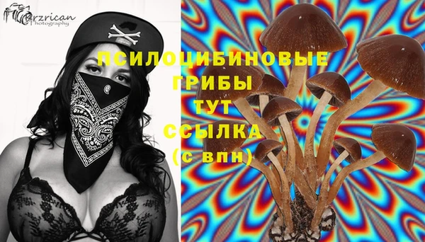 первитин Верхний Тагил