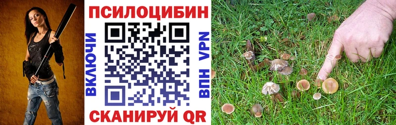 Псилоцибиновые грибы GOLDEN TEACHER  Купить  Нарткала 